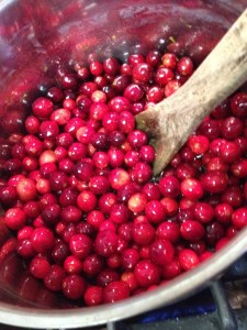 cranberry